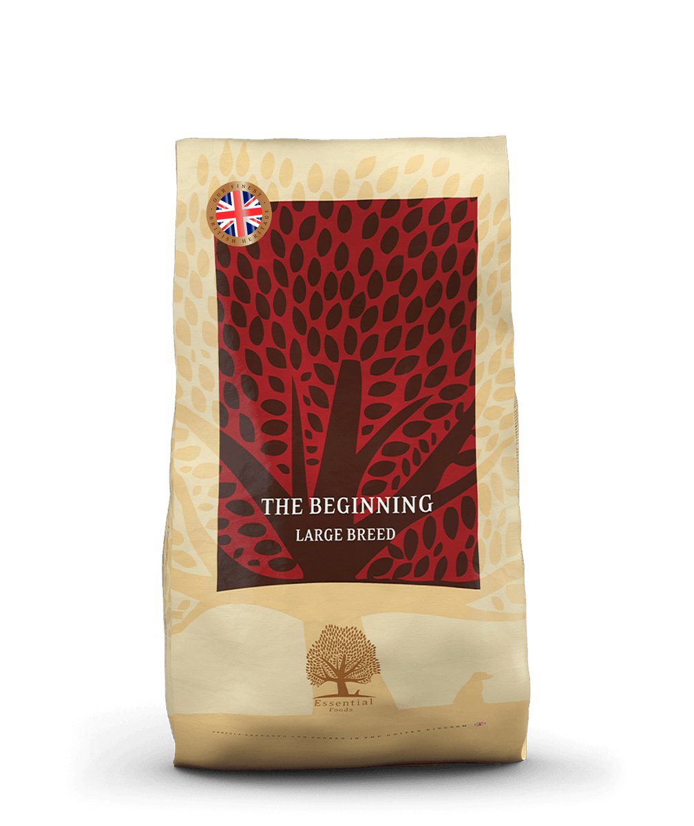 Heritage - The Beginning Large Breed (puppy grote ras)