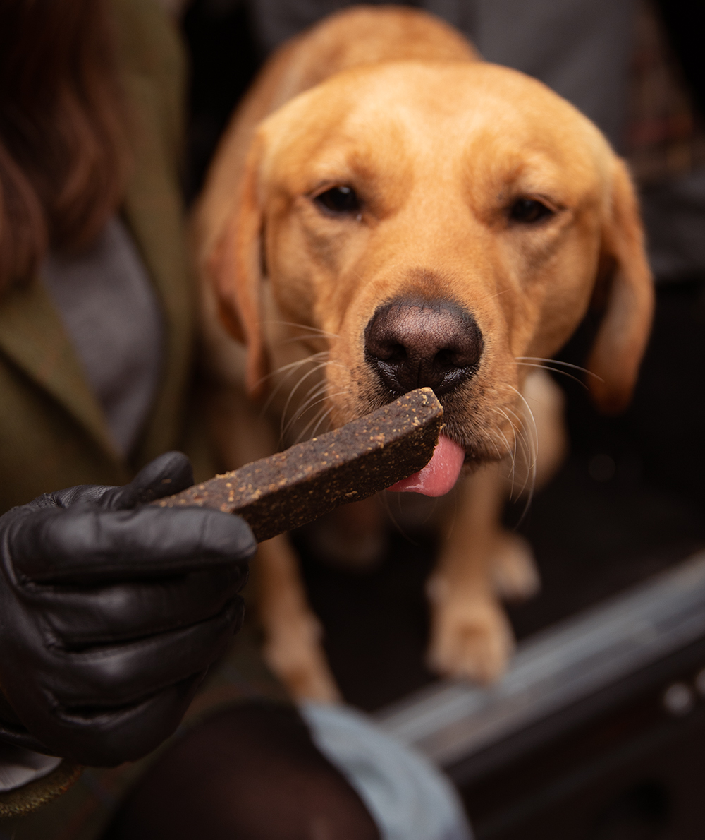 Essential Finest Lamb & Venison Bars - Afbeelding 3