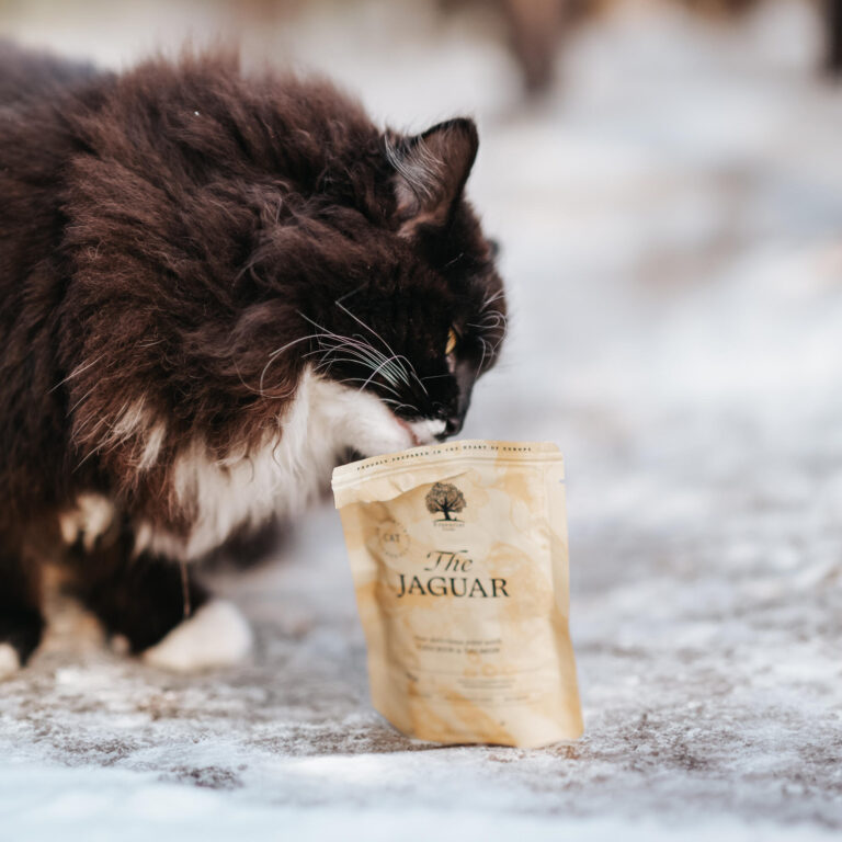 Pate kat natvoer vetarm Jaguar