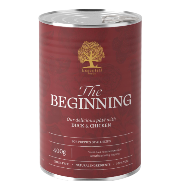 The Beginning Pâté