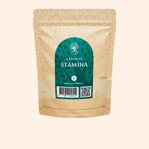 Proefmaaltijd Stamina