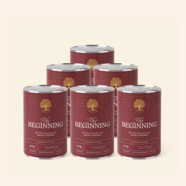 The Beginning Pâté (eend en kip), 400gr x 6