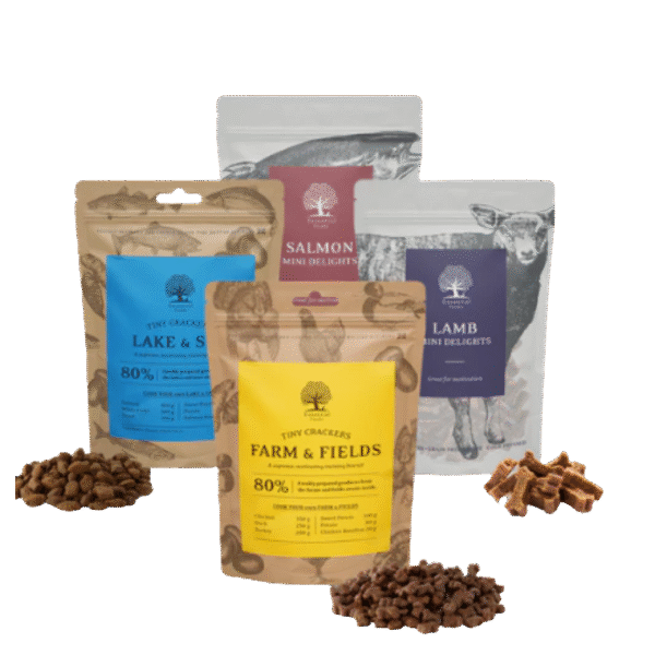 Essential Foods – De Trainingsbox!